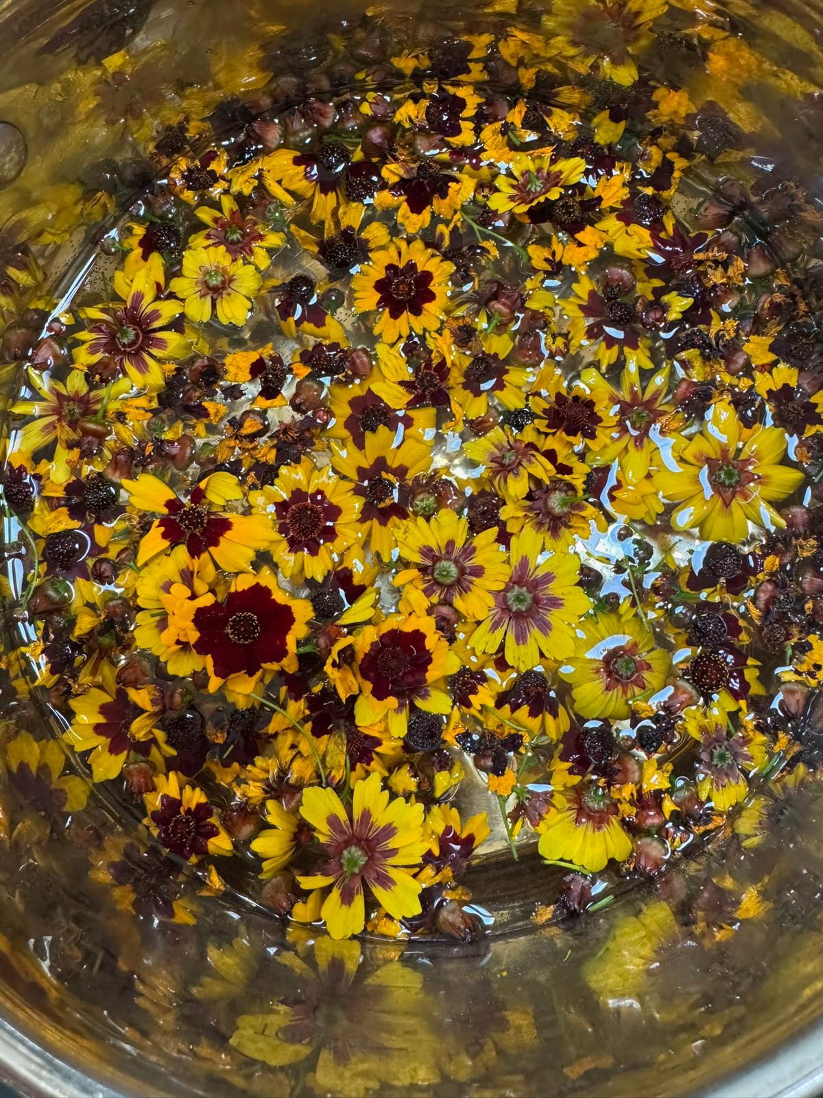TWO DAY NATURAL DYE AND WEAVING WORKSHOP