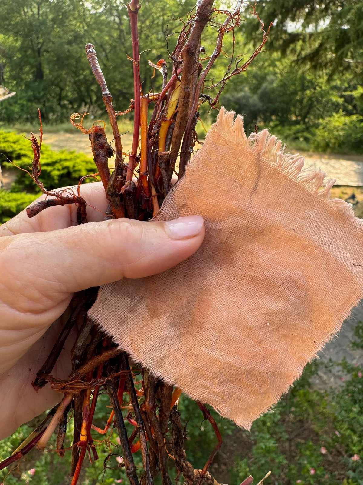 TWO DAY NATURAL DYE AND WEAVING WORKSHOP