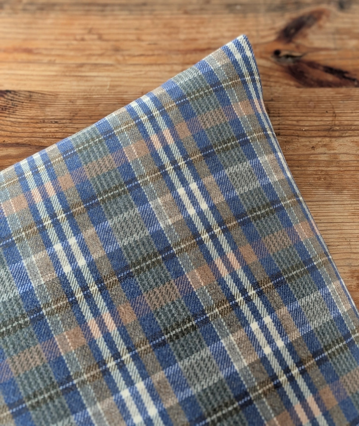 AJA CHECK CUSHION